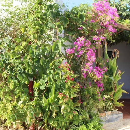 Glamping Algarve Retiro Dos Sonhos * Porches