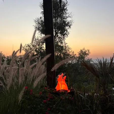 Glamping Algarve Retiro Dos Sonhos Porches