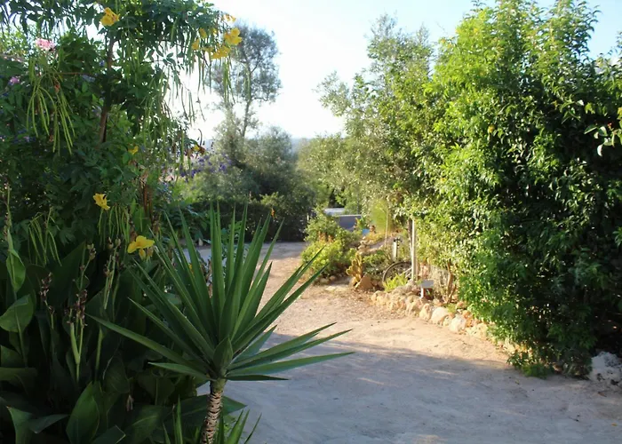 Glamping Algarve Retiro Dos Sonhos Alloggio per agriturismo Porches (Algarve)