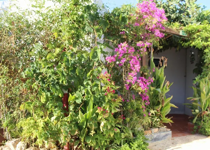 Glamping Algarve Retiro Dos Sonhos * Porches (Algarve)