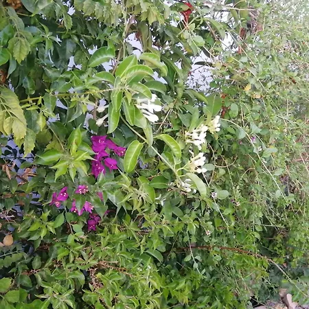 Glamping Algarve Retiro Dos Sonhos *